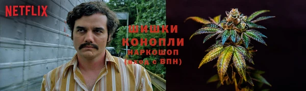 кокаин перу Богданович