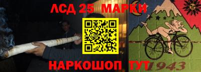 тгк Кингисепп