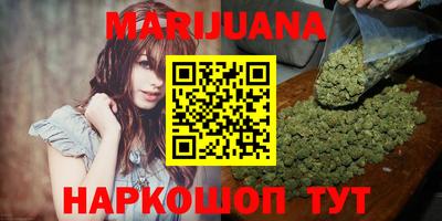 тгк Кингисепп