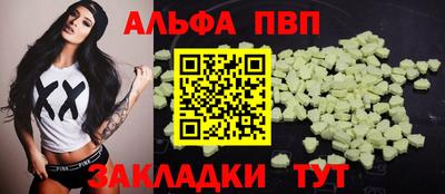 тгк Кингисепп