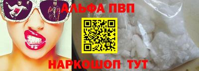 тгк Кингисепп