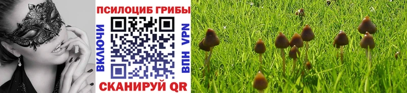 Псилоцибиновые грибы ЛСД Югорск