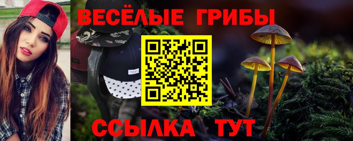 Галлюциногенные грибы GOLDEN TEACHER Югорск