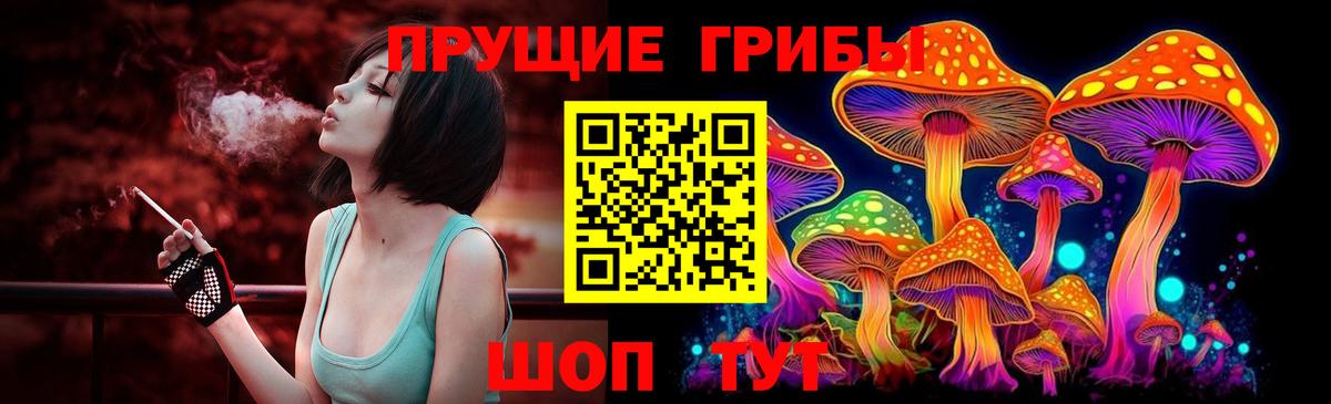 Югорск  Псилоцибиновые грибы прущие грибы  Вход с VPN 